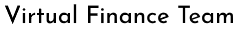 Virtual Finance Team